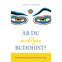 Dzongsar Jamyang Khyentse Är du verkligen buddhist? (häftad)