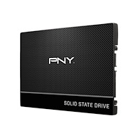 PNY Technologies PNY CS900