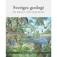 Vivi Vajda Sveriges geologi : en resa i tid och rum (bok, kartonnage)