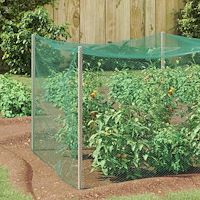 vidaXL Fågel skyddsnät Grön 2 x 10 m HDPE