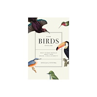 Princeton University Press How Birds Evolve (häftad, eng)