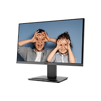 MSI MSI PRO MP223 E2 - LED-skärm - Full HD (1080p) - 22"