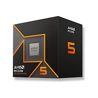 AMD AMD Ryzen 5 9600 / 3.8 GHz processor - Box
