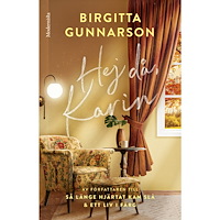Birgitta Gunnarson Hej då, Karin (häftad)