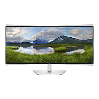 DELL Dell Pro Plus P3425WE - LED-skärm - böjd - 34"