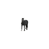 Schleich Schleich Farm World - Tennessee Walker-valack