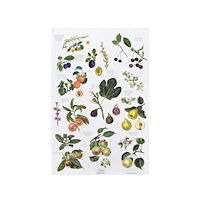 Øvrige Vrige TeaTowel 48x70 cm