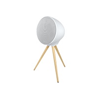 Muse Muse ML-655 BT - högtalare - för bärbar användning - trådlös