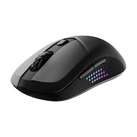 MSI MSI VERSA 300 ELITE - mus - 2.4 GHz, Bluetooth 5.3, USB 2.0