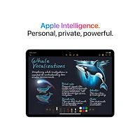 Apple Apple 13-inch iPad Air M3 Wi-Fi + Cellular - surfplatta - 256 GB - 13" - 3G, 4G, 5G