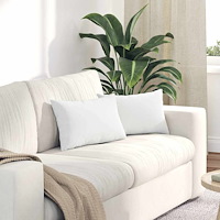 vidaXL Sofakuddar 2 pcs Vit 50 x 30 cm tyg