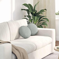 vidaXL Sittkuddar 2 pcs Ljusgrå Ø 40 x 13 cm Sammet