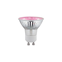 Paulmann Paulmann LED växtbelysning tillväxt PAULMANN 230 V GU10 3,5...