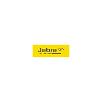 Jabra Jabra Evolve 30 II UC Mono - headset - USB-C, USB-A