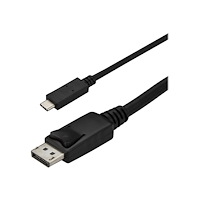 StarTech.com StarTech.com USB-C till DisplayPort-kabeladapter