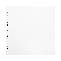 FOCUS Focus Carton Refillsheets for Ringbinder Gigant White 10-pack