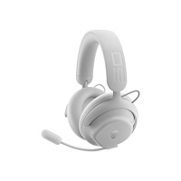 DELL Alienware Pro Wireless Gaming Headset - headset - USB-C