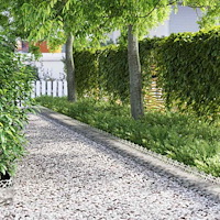 vidaXL Gräskanter 20 pcs Silver 103 x 0,05 x 22 cm Galvaniserat Stål