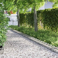 vidaXL Gräskanter 20 pcs Silver 103 x 0,05 x 22 cm Galvaniserat Stål