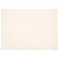 vidaXL Fusk-kaninpälsmatta Olite Vit 200 x 280 cm Polyester