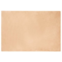 vidaXL Fusk-kaninpälsmatta Olite Taupe 120 x 170 cm Polyester