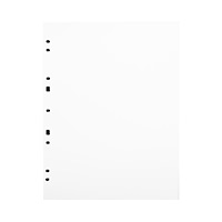 FOCUS Focus Carton Refillsheets for Ringbinder A4 White 30-pack