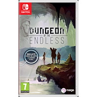 Spel Dungeon of the Endless Nintendo Switch
