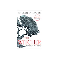 Not Stated Baptism of Fire (häftad, eng)