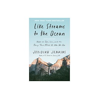 Not Stated Like Streams to the Ocean (häftad, eng)