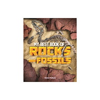 Pan Macmillan My Best Book of Rocks and Fossils (häftad, eng)