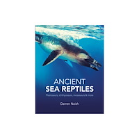 The Natural History Museum Ancient Sea Reptiles (häftad, eng)