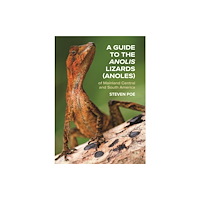 Princeton University Press A Guide to the Anolis Lizards (Anoles) of Mainland Central and South America (häftad, eng)