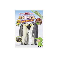 Ruby Tuesday Books Ltd My First BIG Book of ANIMAL Life Cycles (häftad, eng)
