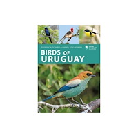 Bloomsbury Publishing PLC Birds of Uruguay (häftad, eng)