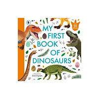 Walker Books Ltd My First Book of Dinosaurs (häftad, eng)