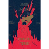 Artur Bagheri Prinsens toner (bok, danskt band)