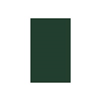 Taylor & francis inc The Origins of Constitutional Immigration Law (inbunden, eng)