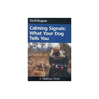 FIRST STONE CALMING SIGNALS DVD (häftad, eng)