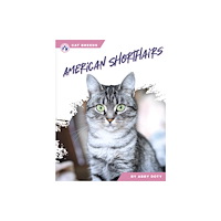 North Star Editions American Shorthairs (inbunden, eng)
