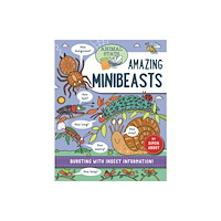 Hachette Children's Group Animal Stats: Minibeasts (inbunden, eng)
