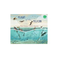 Holiday House Inc Plight of the Pelican (inbunden, eng)