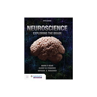 Jones and Bartlett Publishers, Inc Neuroscience: Exploring the Brain (häftad, eng)