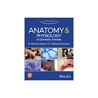 John Wiley & Sons Inc Anatomy and Physiology of Domestic Animals (inbunden, eng)