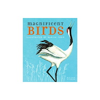 Walker Books Ltd Magnificent Birds (häftad, eng)