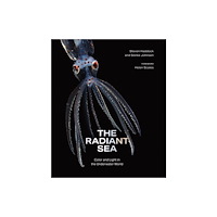 Abrams The Radiant Sea (inbunden, eng)