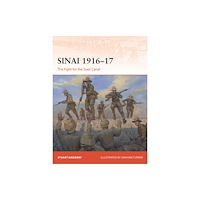 Bloomsbury Publishing PLC Sinai 1916–17 (häftad, eng)