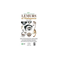 Re:wild Lemurs of Madagascar (häftad, eng)