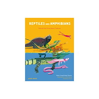 Post Wave Publishing UK Ltd Reptiles and Amphibians (inbunden, eng)