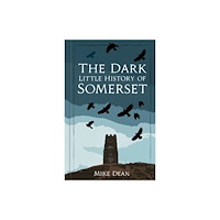 The History Press Ltd The Dark Little History of Somerset (inbunden, eng)
