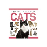 North Star Editions Cats (inbunden, eng)